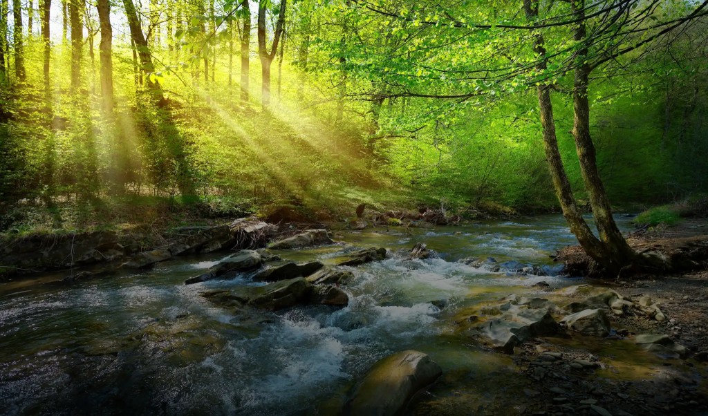 Embracing Nature in the 21st&nbsp;Century